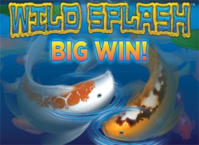 Wild Splash